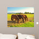 4 Konie W Jednym Wall Decal