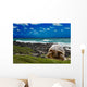 Large Turtle Sea Edge Wall Decal