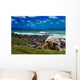 Large Turtle Sea Edge Wall Decal