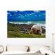 Large Turtle Sea Edge Wall Decal