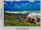 Large Turtle Sea Edge Wall Decal
