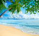 Beach Wall Decal