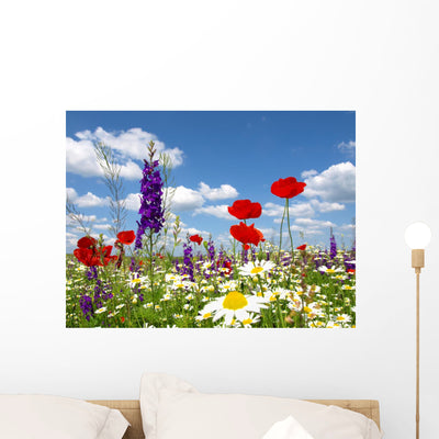 Red Poppy and Wild Wall Decal shown on a wall