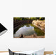 Pool and Water Anuradhapura Wall Decal