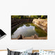 Pool and Water Anuradhapura Wall Decal