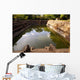 Pool and Water Anuradhapura Wall Decal