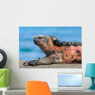Galapagos Iguana Wall Decal shown on a wall