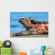 Galapagos Iguana Wall Decal