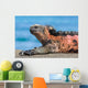 Galapagos Iguana Wall Decal