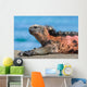 Galapagos Iguana Wall Decal