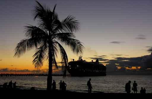 Tropical Night Wall Decal