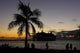 Tropical Night Wall Decal