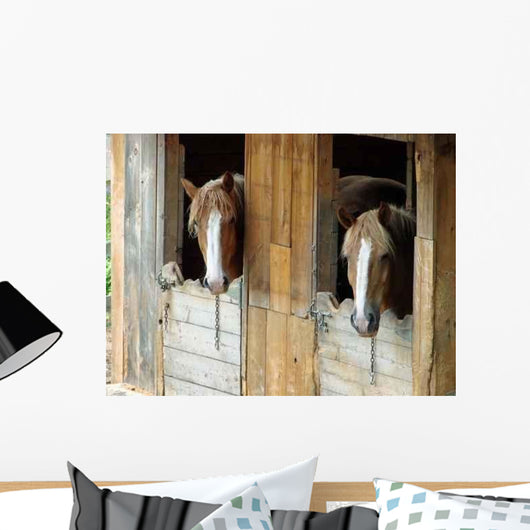 Horses in Barn Looking Outside Wall Decal