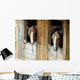Horses in Barn Looking Outside Wall Decal
