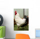 Rooster Wall Decal