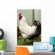 Rooster Wall Decal