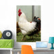 Rooster Wall Decal