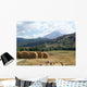 Abruzzo Wall Decal