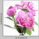 Three Peony Blossoms White Wall Decal