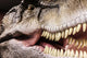 Tyrannosaurus Showing His Toothy Wall Decal