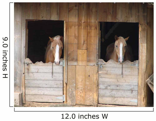 Horses in Barn Wall Decal