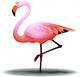 Flamingo Wall Decal
