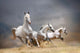 White Horses Wall Decal