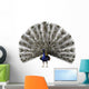 CG Peacock Wall Decal