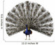 CG Peacock Wall Decal