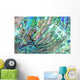 Haliotis Shell Detail Wall Decal