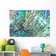 Haliotis Shell Detail Wall Decal