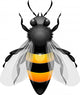 Honey Bee Wall Decal