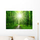 Forest Wall Decal