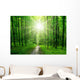 Forest Wall Decal