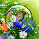 Herb Garden Wall Decal