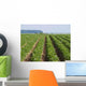 Kartoffelfeld Wall Decal