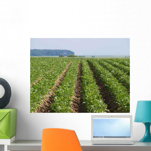 Kartoffelfeld Wall Decal