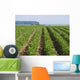 Kartoffelfeld Wall Decal