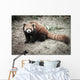 Lesser Panda Wall Decal