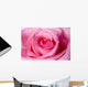 Beautiful Pink Rose up Wall Decal