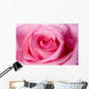 Beautiful Pink Rose up Wall Decal