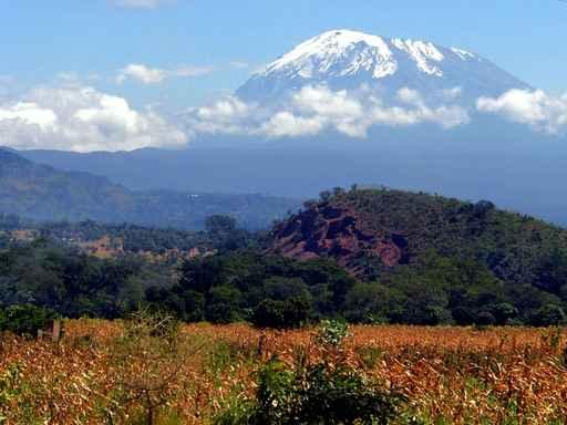 Kilimanjaro Wall Decal