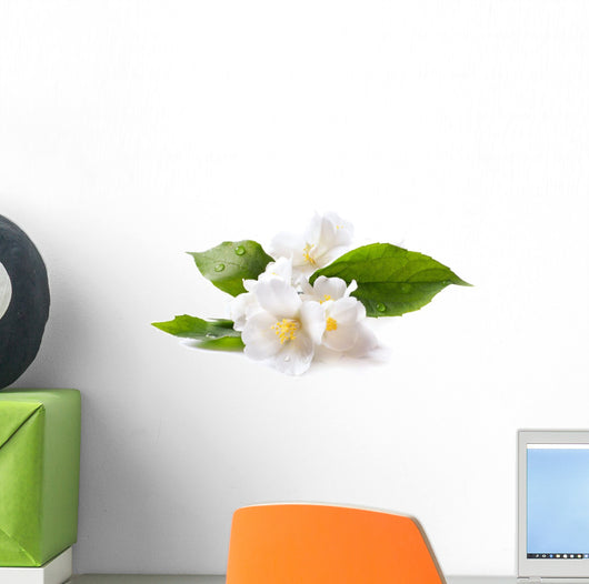 Jasmine White Flower White Wall Decal
