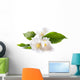 Jasmine White Flower White Wall Decal