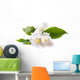 Jasmine White Flower White Wall Decal