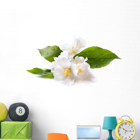 Jasmine White Flower White Wall Decal