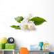 Jasmine White Flower White Wall Decal