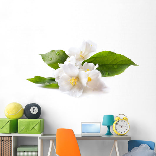 Jasmine White Flower White Wall Decal