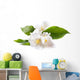 Jasmine White Flower White Wall Decal