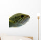 Largemouth Bass Water Wall Decal